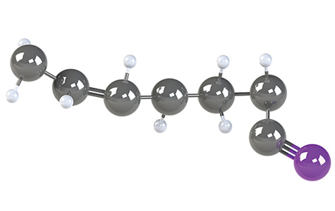NBR Molecule